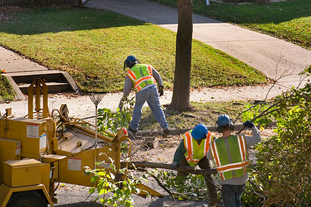 Best Tree Planting Services  in Liberty Triangle, FL